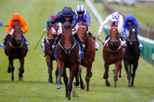 Air Force Blue winning the Dewhurst Stakes