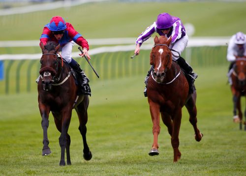 Gifted Master winning over one mile at Newmarket last October