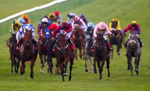 Grumeti (centre) leads them home in the Cesarewitch