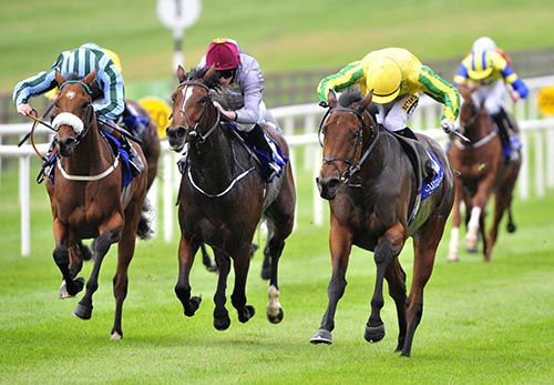 Synopsis (right) and Colin Keane win the 1m1f fillies maiden