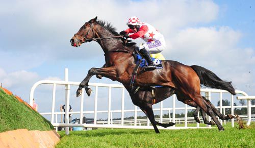 Run For Firth takes off at the last under Brian O'Connell
