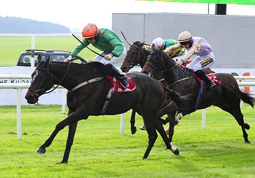 Digeanta is ridden out by Billy Lee