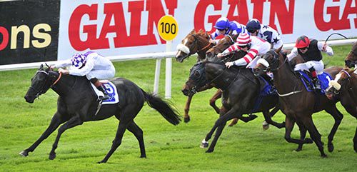 Wexford Opera and Kevin Manning beat them all off