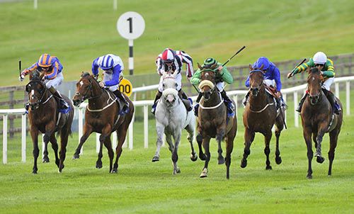 All 6 in shot and Shadagann (noseband, Shane Foley up, green and black) proved strongest