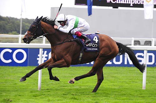 Flying Officer storms home