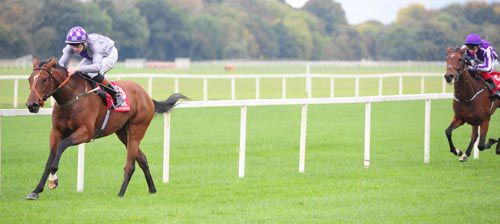 Verbosity and Ronan Whelan clear in Cork