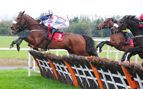 Hatch Hall soars over the last in Cork