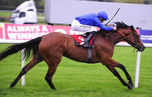 Endless Time impresses in Naas 