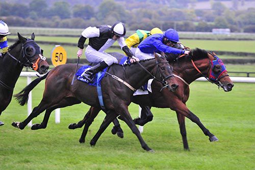 Robertstown, blinkers, holds on in Naas