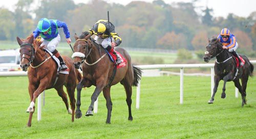 Mandarin Monarch (Kevin Manning, left) just got the better of Zulu Alpha (Pat Smullen, nearside)