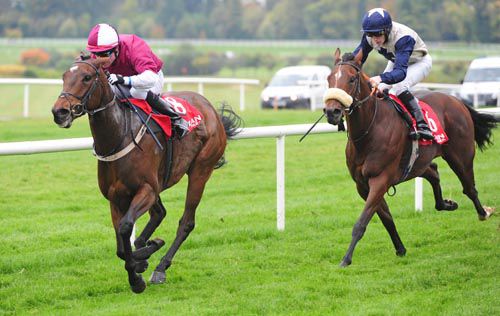 Nancy Astor and Danny Grant beats Free Radical and Billy Lee