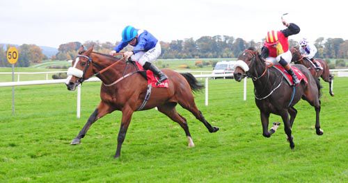 Mohaayed and Chris Hayes beats Mandamus and Ronan Whelan