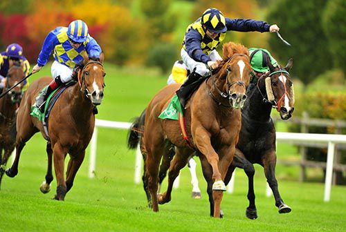 In Salutem and Shane Foley winning for trainer Ken Condon 