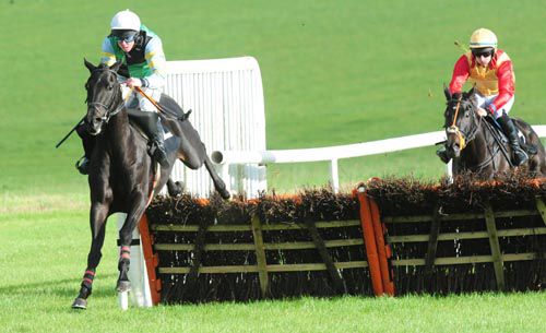 Le Vagabond (Andrew Lynch) is clear of Buyer Beware at the last