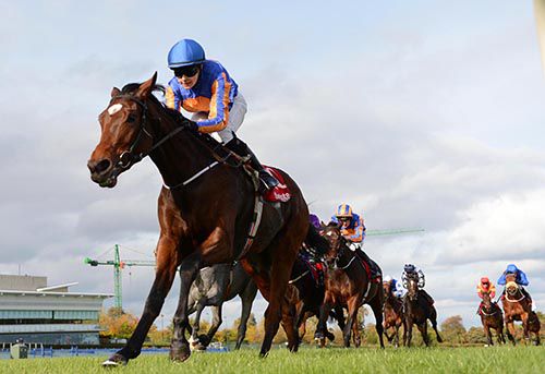 Pretty Perfect and Ana O'Brien