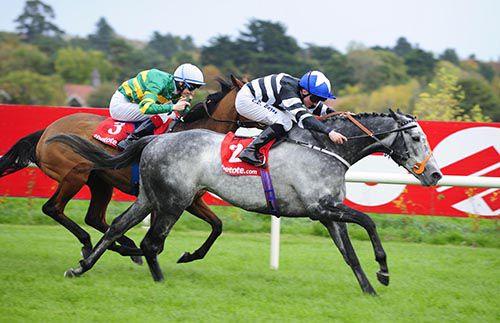 Sovereign Debt (Chris Hayes) beats Iveagh Gardens (Fran Berry)