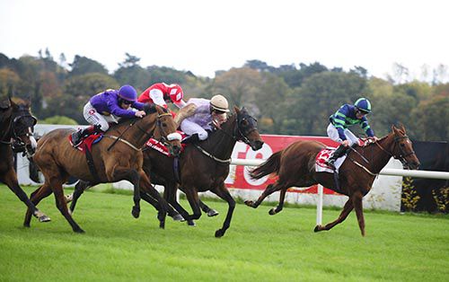 Silver Concorde (noseband) comes through for the win under Leigh Roche