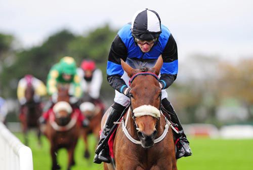 Jennies Jewel and John O'Neill