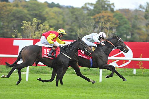 Stronger Than Me and Billy Lee account for Jacobs Well
