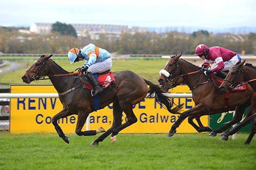 Elusive Ivy and Brien Kane 