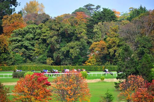 Leopardstown