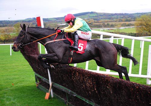 Sizing John pictured on his way to victory under Jonathan Burke