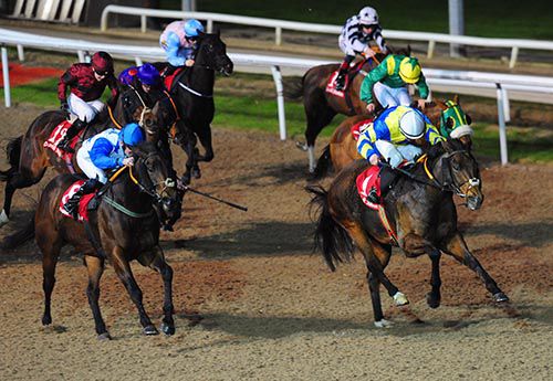 Hatton Cross and Wayne Lordan win the 5th at Dundalk