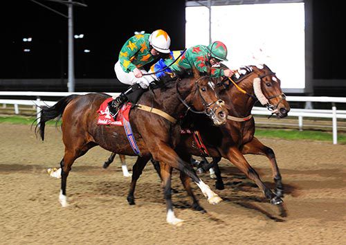 Ondamoura (cheek-pieces, Wayne Lordan up far-side) just prevails from Invincible Don