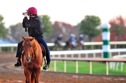 Trainer Aidan O'Brien
