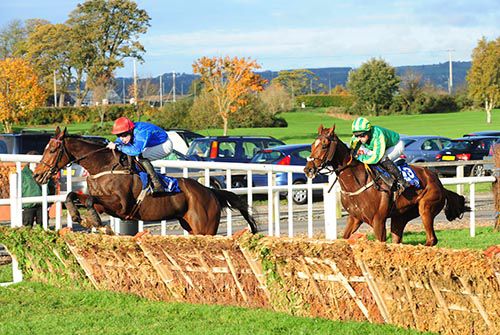 Pace And Passion leads Misdflight over the last