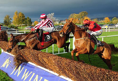 Noble Endeavor (left) blunders alongside Topper Thornton