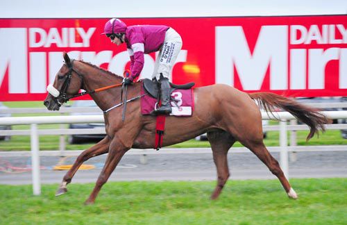 The Gordon Elliott-trained Tombstone
