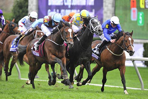 Hit It A Bomb and Ryan Moore swoop to conquer 