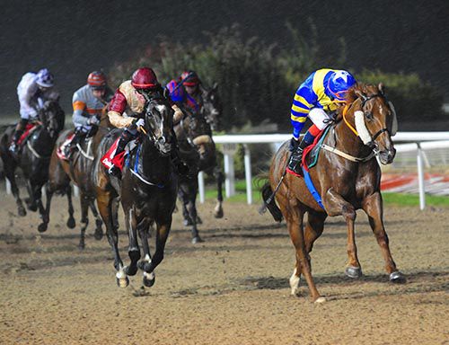 Excelli (cheek-pieces) and Fran Berry