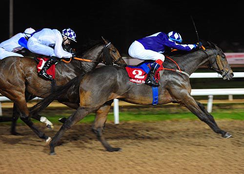 Daliyan wins under Fran Berry