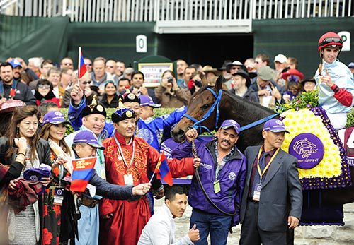 Mongolian Saturday