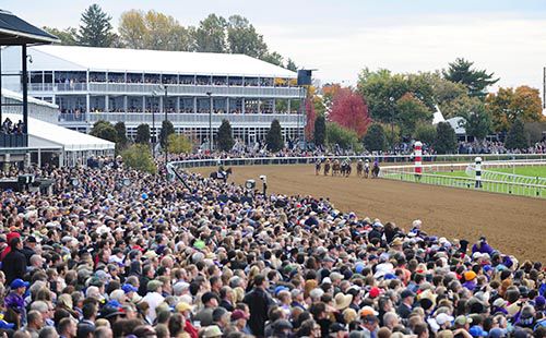The Breeders' Cup 2020 takes place at Keeneland