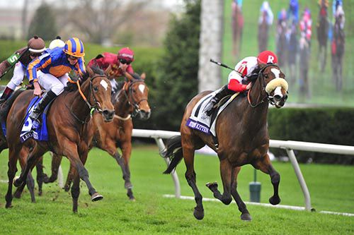 Stephanie S Kitten beats Legatissimo