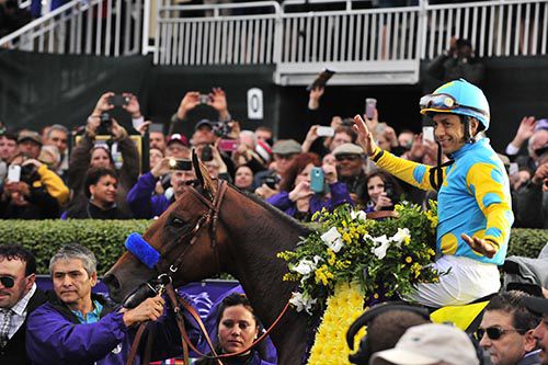American Pharoah and Victor Espinoza are led into the packed winners encloure  Breeders Cup 2015