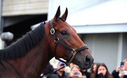 American Pharoah