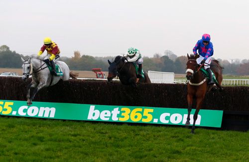 Cue Card (right)