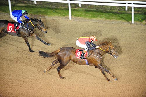 Danz Gift (Ronan Whelan) accounts for Little Sweetheart