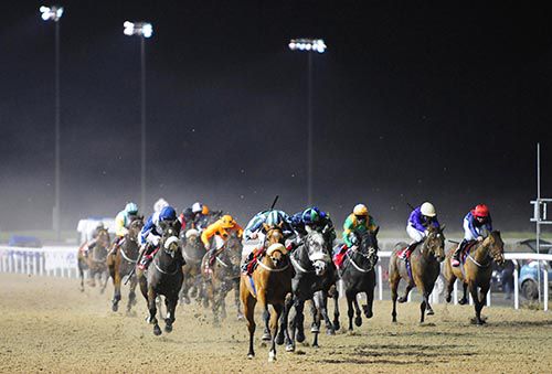 Ronan Whelan (stripped cap) on Melanna (noseband) leads them home in the finale