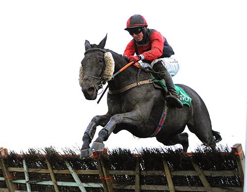 Redclue and Keith Donoghue are clear in Navan