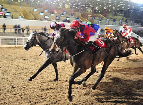 Reckless Lad (nearside) beating Toccata Blue