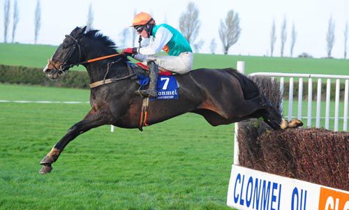 Indian Fairy and Donagh Meyler 