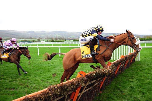Wolf Of Windlesham in charge at Cheltenham