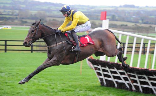 Tully East clears the last in Punchestown
