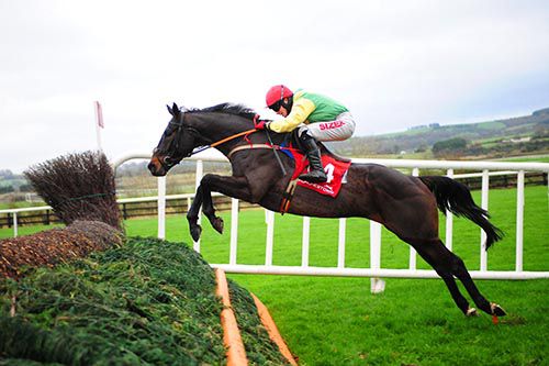 Sizing John and Jonathan Burke clear the last fence 