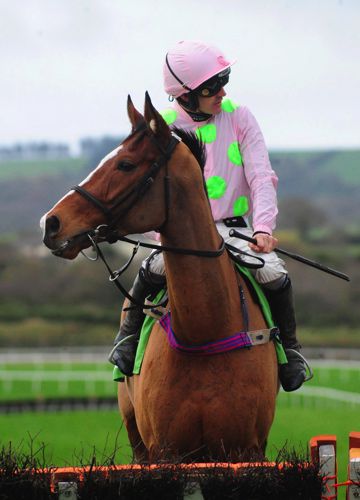 Faugheen
